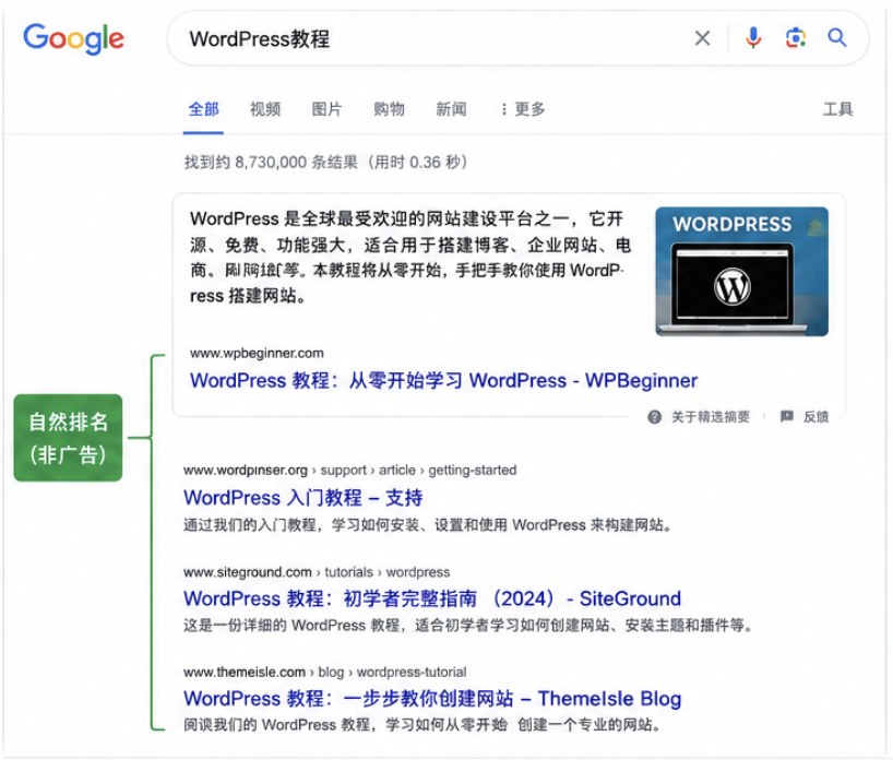 Google自然搜索结果示意图