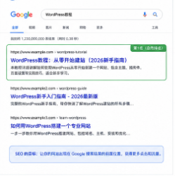 Google搜索结果示意图