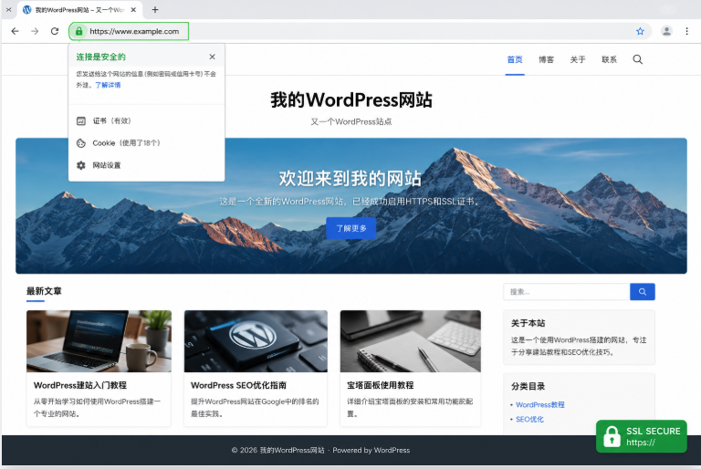 WordPress网站成功启用SSL证书和HTTPS安全访问